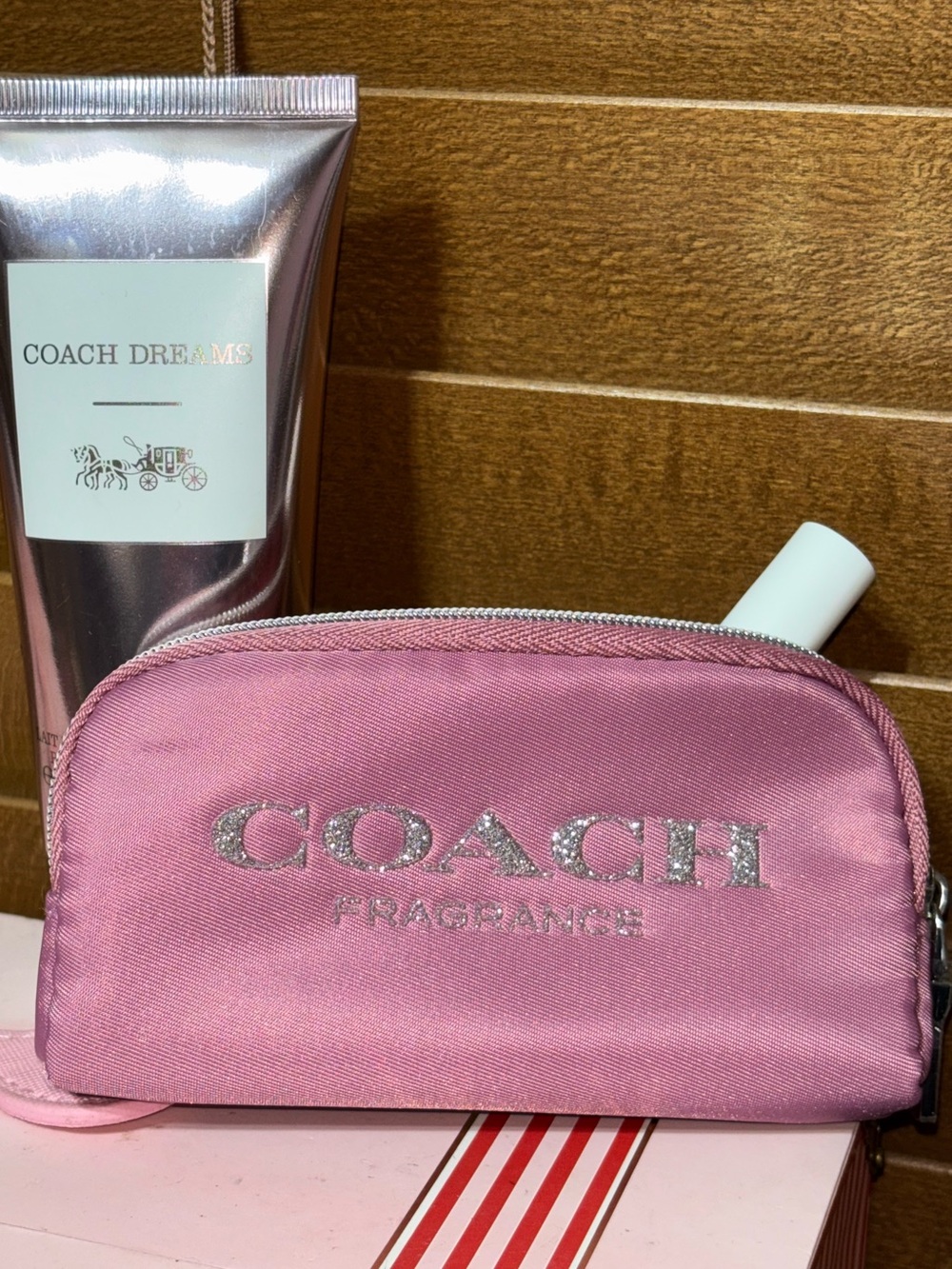 COACH Dreams Cosmetic Bag ETC